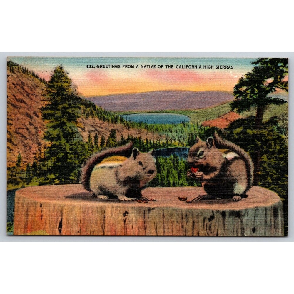 Vtg Linen Postcard Greetings From California High Sierras Squirrels Lakes 432